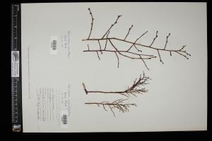 87469-Service File.jpg