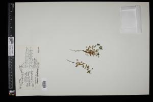 87473-Service File.jpg