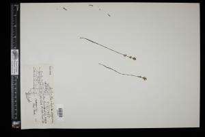 87478-Service File.jpg