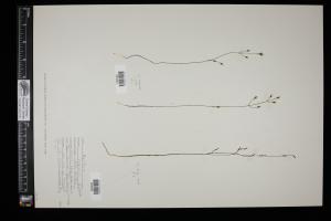 87479-Service File.jpg