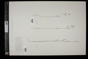 87480-Service File.jpg