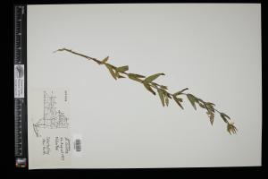87482-Service File.jpg
