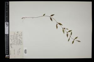 87502-Service File.jpg