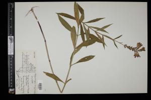 87505-Service File.jpg