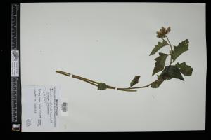 87512-Service File.jpg