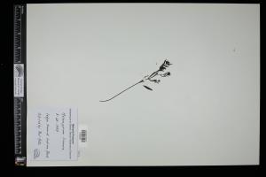 87520-Service File.jpg