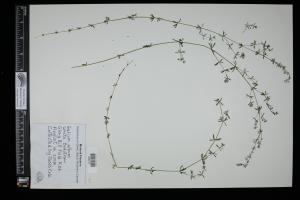 87534-Service File.jpg