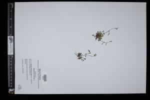 87538-Service File.jpg
