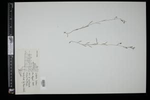 87558-Service File.jpg