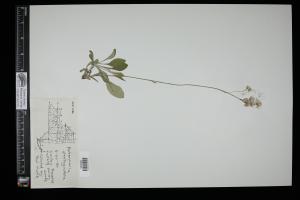 87565-Service File.jpg