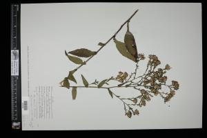 87573-Service File.jpg