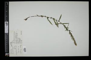 87578-Service File.jpg