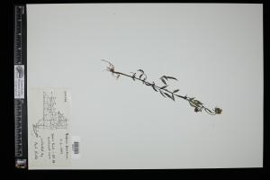 87588-Service File.jpg