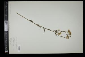 87602-Service File.jpg