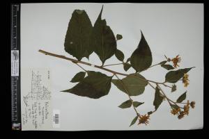 87614-Service File.jpg