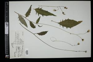 87620-Service File.jpg