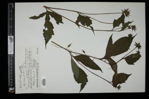 87621-Service File.jpg