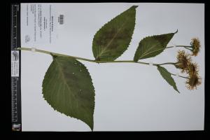 87622-Service File.jpg