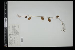 87626-Service File.jpg