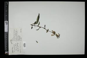 87630-Service File.jpg