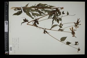 87631-Service File.jpg