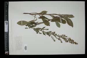 87639-Service File.jpg