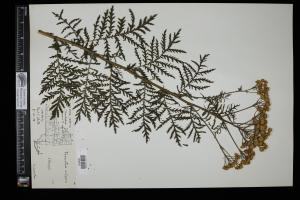 87647-Service File.jpg
