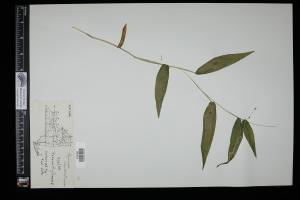 87656-Service File.jpg
