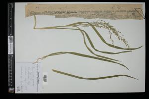 87660-Service File.jpg