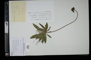 87662-Service File.jpg