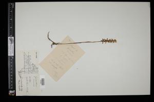 87668-Service File.jpg