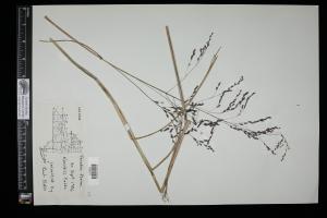 87673-Service File.jpg