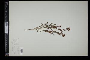 87679-Service File.jpg