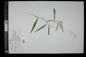 87682-Service File.jpg