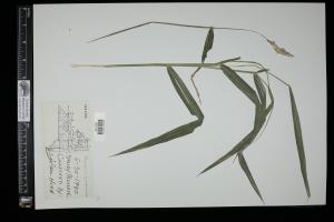87683-Service File.jpg