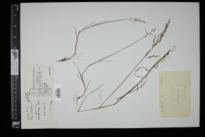 87684-Service File.jpg