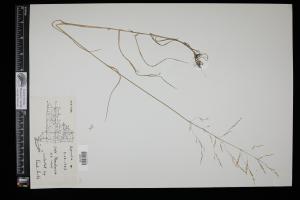 87686-Service File.jpg
