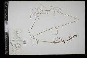 87687-Service File.jpg