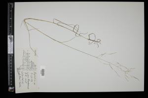 87688-Service File.jpg