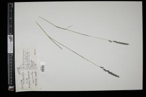 87689-Service File.jpg