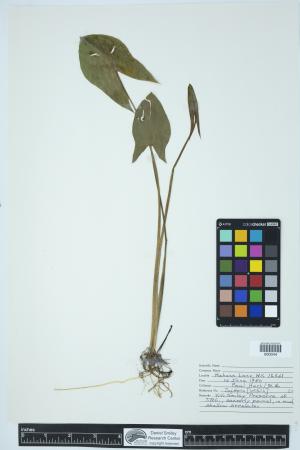 89747-Service File.jpg