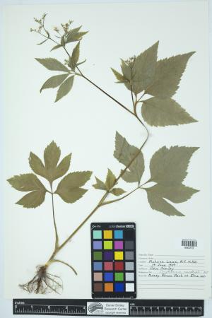 89772-Service File.jpg