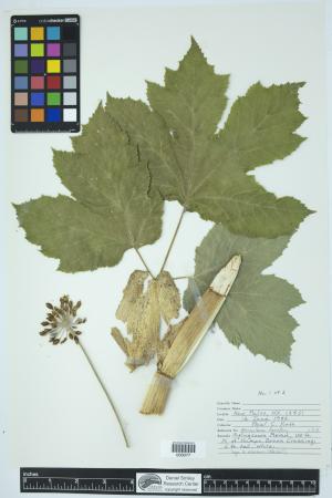 89775-Service File.jpg