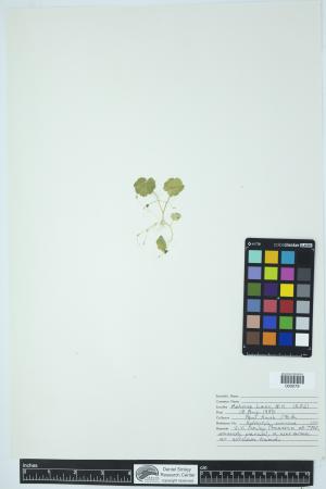 89777-Service File.jpg