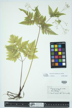 89780-Service File.jpg