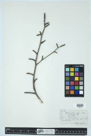 89802-Service File.jpg