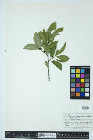 89815-Service File.jpg