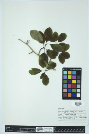 89819-Service File.jpg