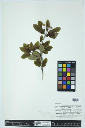 89820-Service File.jpg