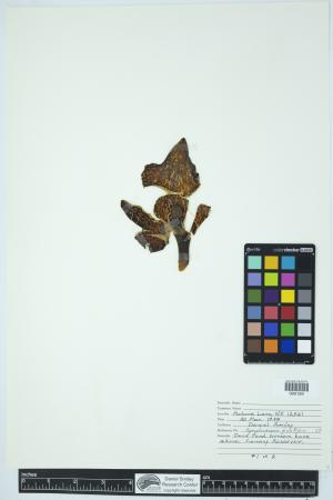 89824-Service File.jpg